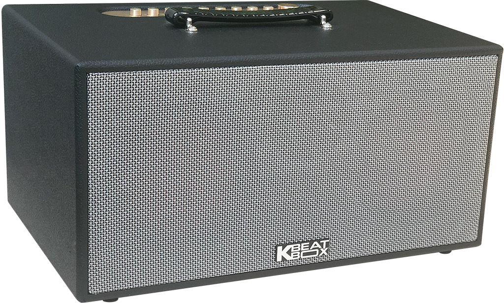 Loa karaoke di động Acnos CS450 600W