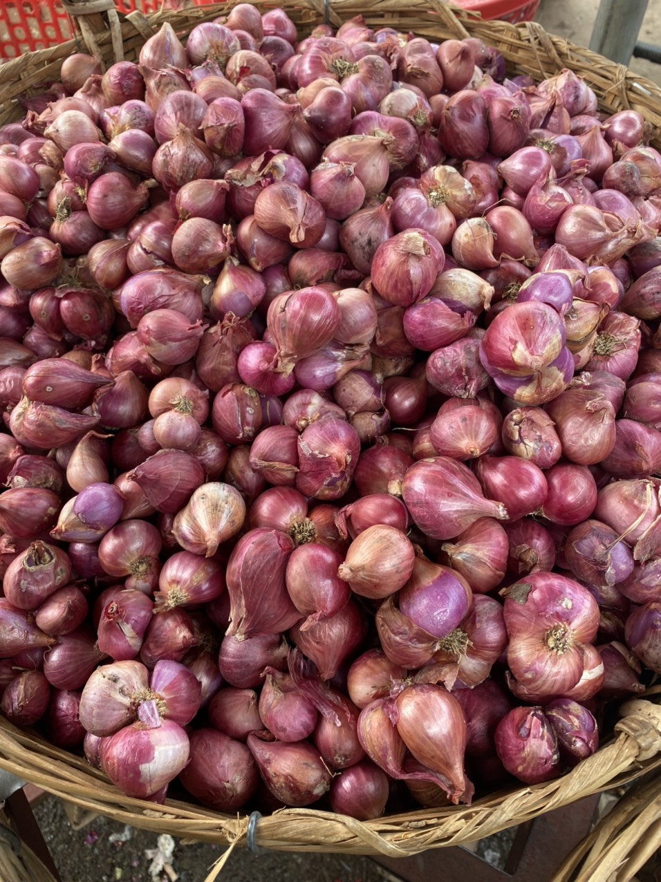 (miễn phí vận chuyển)Hành tím Khô , củ to chắc đều