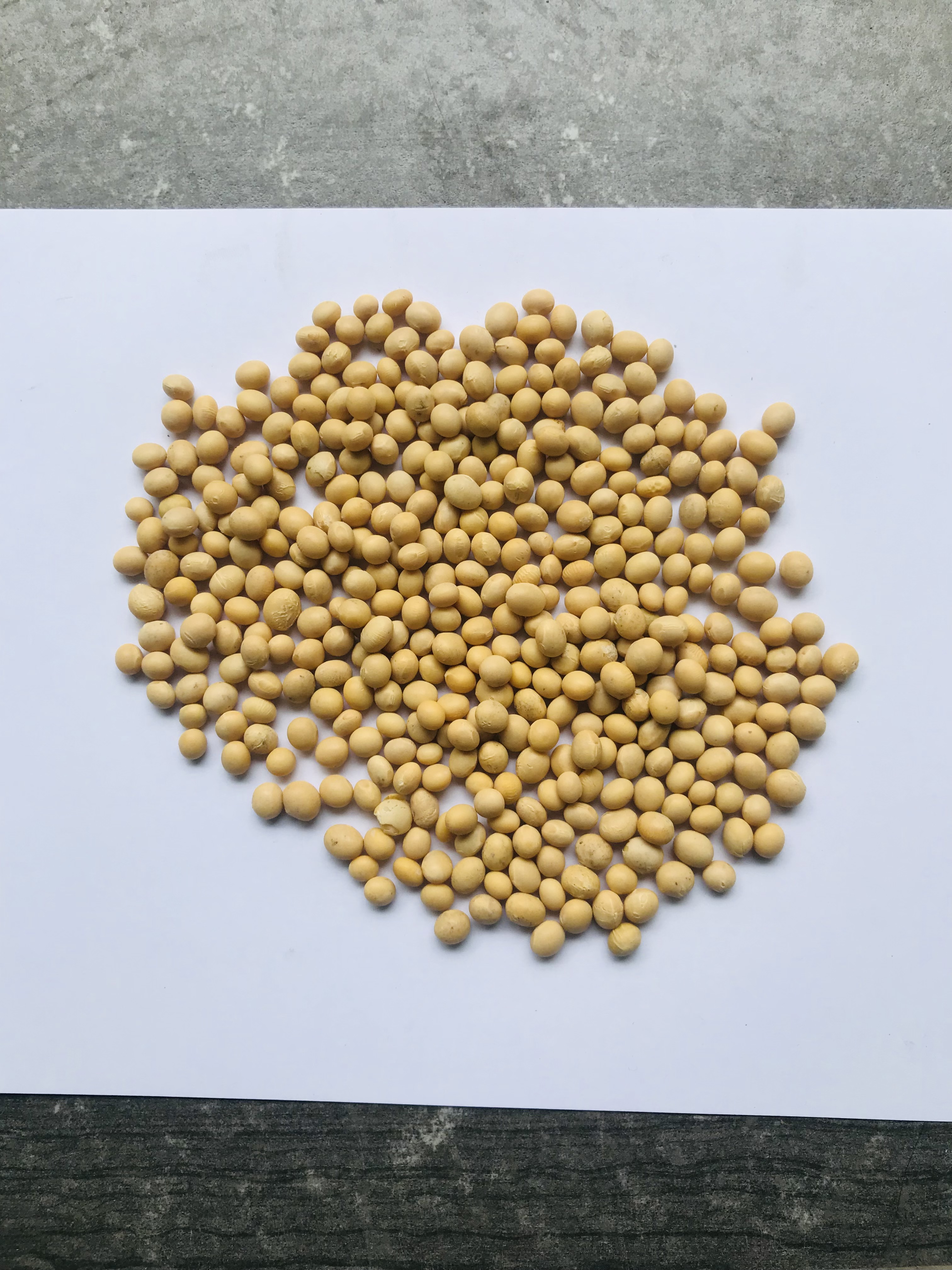 Đậu nành Mỹ loại 1: 1Kg
