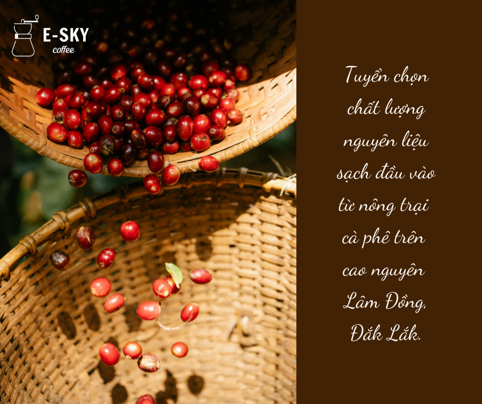 Cà Phê Rang Xay Nguyên Chất Robusta E-sky Coffee Cafe Pha Phin Pha Máy Cold Brew 1kg-2kg