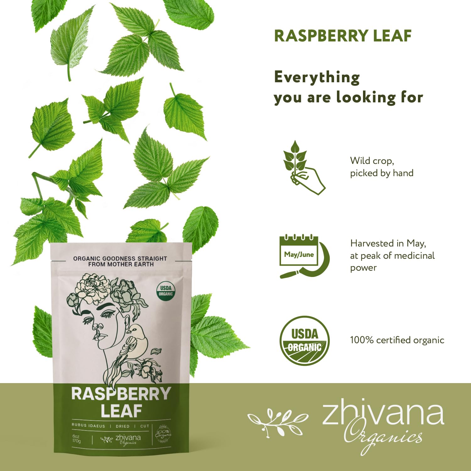 Red Raspberry Leaf Tea And Labor Raspberry Leaf Tea (makes 85 cups) β Red Raspberry Leaf Tea Loose ...