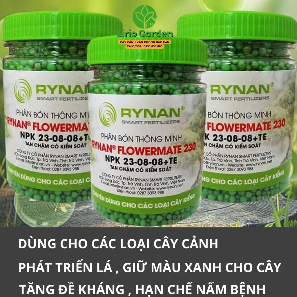 500g Phân Tan Chậm Rynan 230 chuyên dùng cho cây cảnh