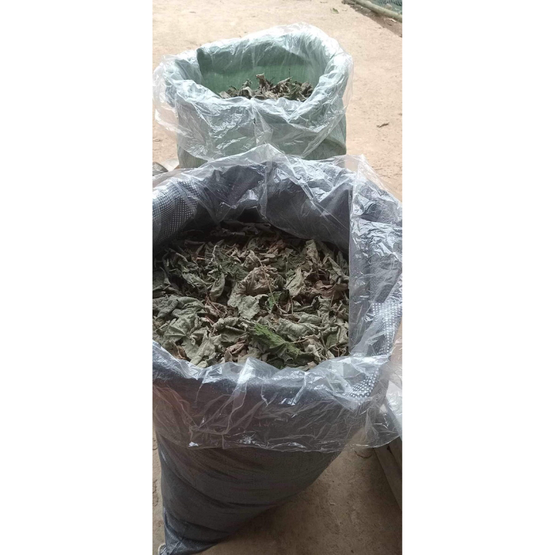 lá mâm xôi khô rừng 1kg