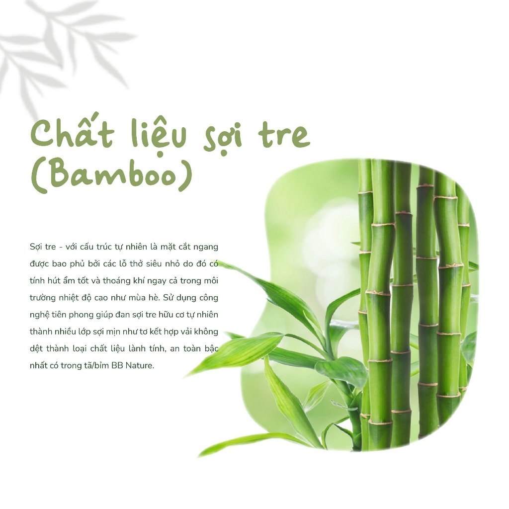 Combo 2 miếng dùng thử BB Nature đủ size cho bé từ 3-25kg
