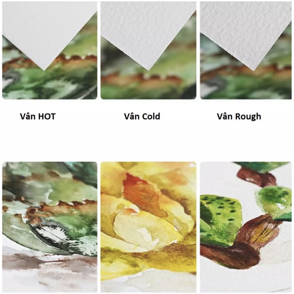Giấy BAOHONG 100% cotton 300gsm vân Rough/Hot/Cold press