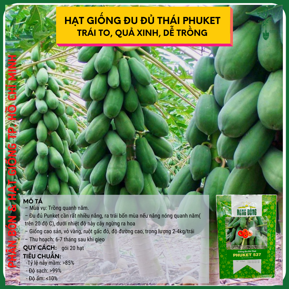Hạt Giống Đu Đủ Thái PHUKET537 - 20 Hạt
