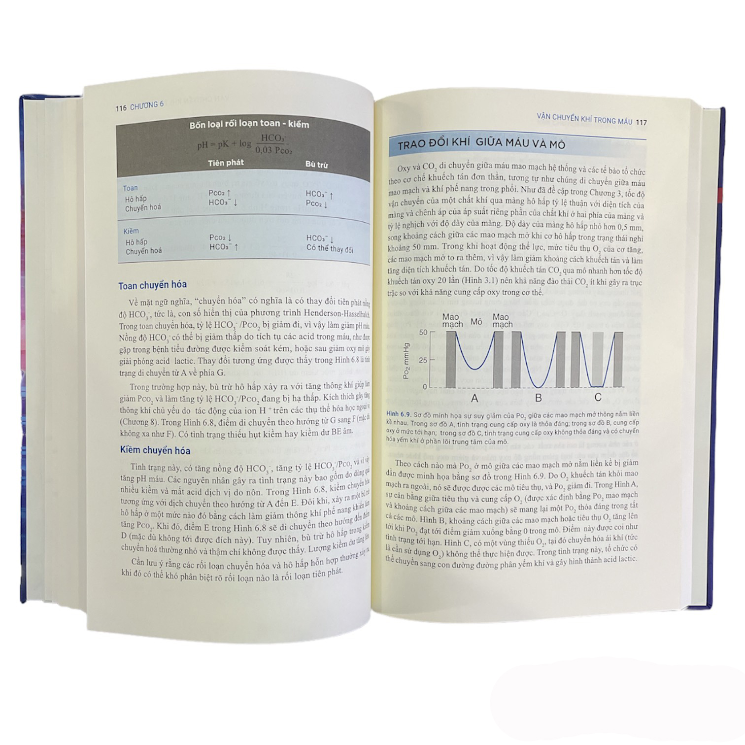 ARTBOOK - Sách Y - SINH LÝ HỌC HÔ HẤP