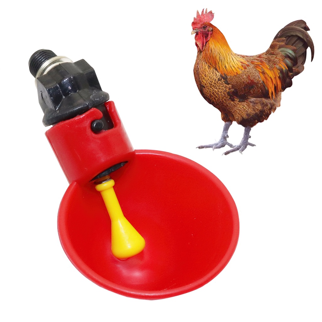 [HCM] máng uống tự động cho gà vịt - loại dạnh cốc hàng sịn - Randy888