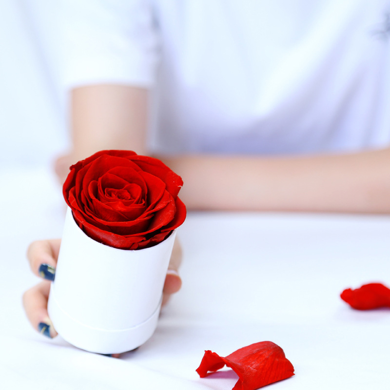 1Pc%20Mini%20Flower%20Bucket%20Round%20Hug%20Bucket%20DIYGift%20Box%20Cylindrical%20Small%20Flower%20Box%20GHAN%20-%20Image%205