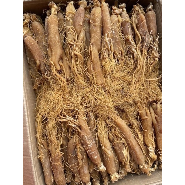 [CHÍNH HÃNG] HỒNG SÂM SẤY DẺO ( Thơm Chuẩm )