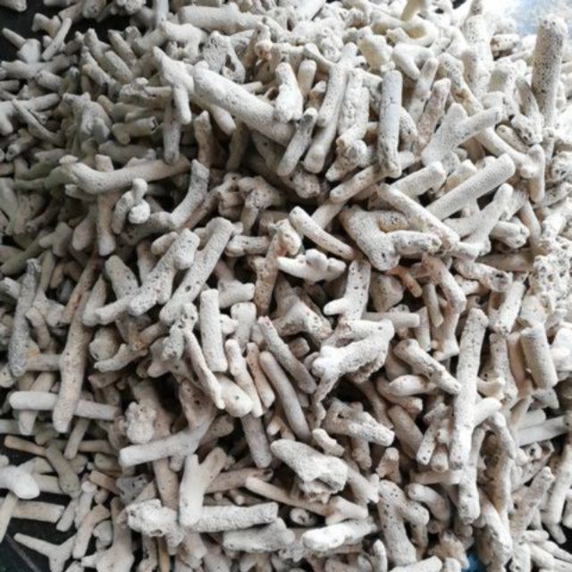 1kg San Hô Vụn Lọc Nước Bể Cá