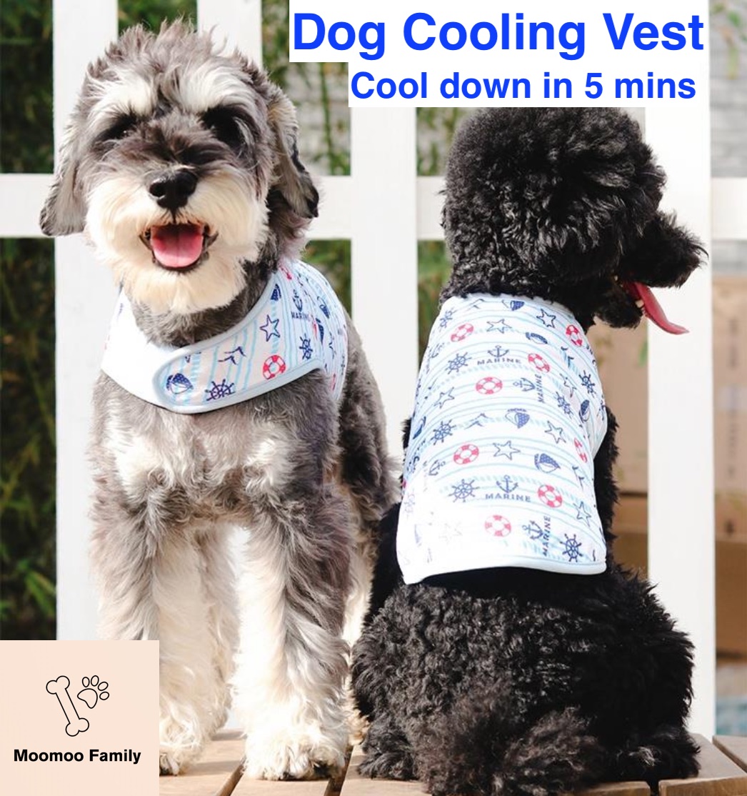 pets at home dog cooling coat