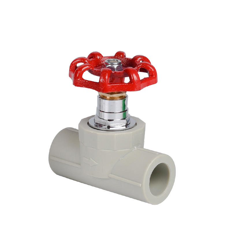 Ppr Gate Valve Pe Water Pipe Valve Lazada Ph