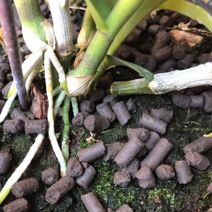 Phân trùn quế dạng viên nén, đóng túi 1kg