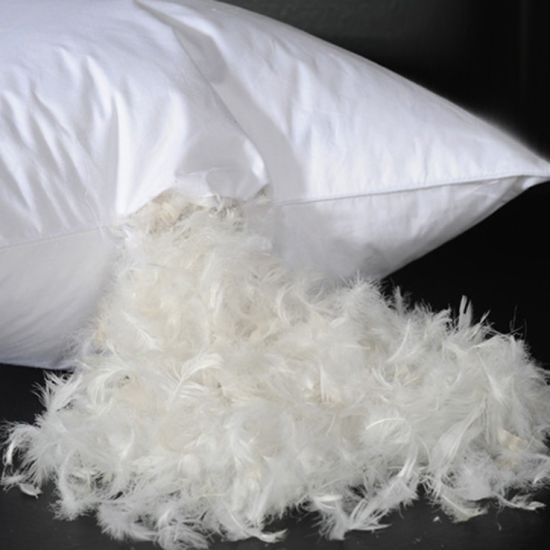 best quality goose down pillows