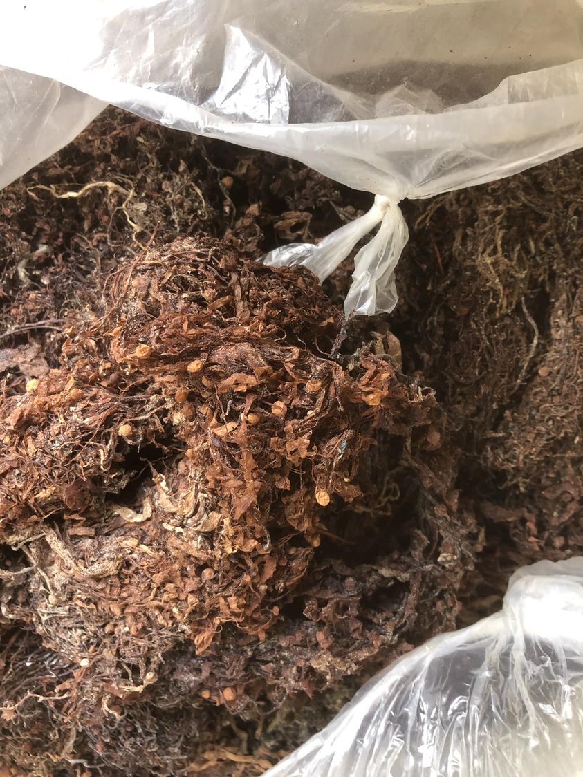 hải tảo khô 1kg