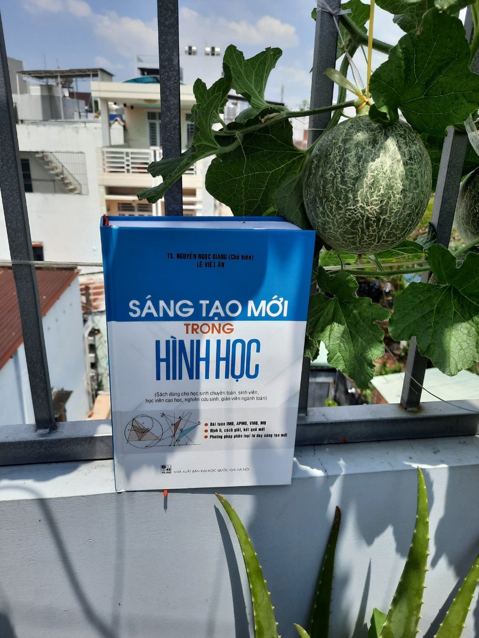 Sáng tạo mới trong hình học