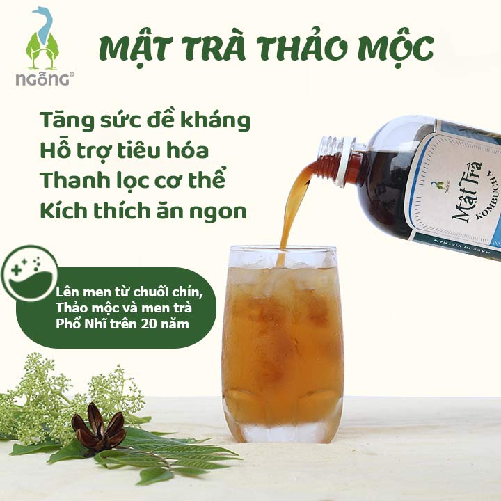 Mật Trà KombuchaThảo Mộc 500ml