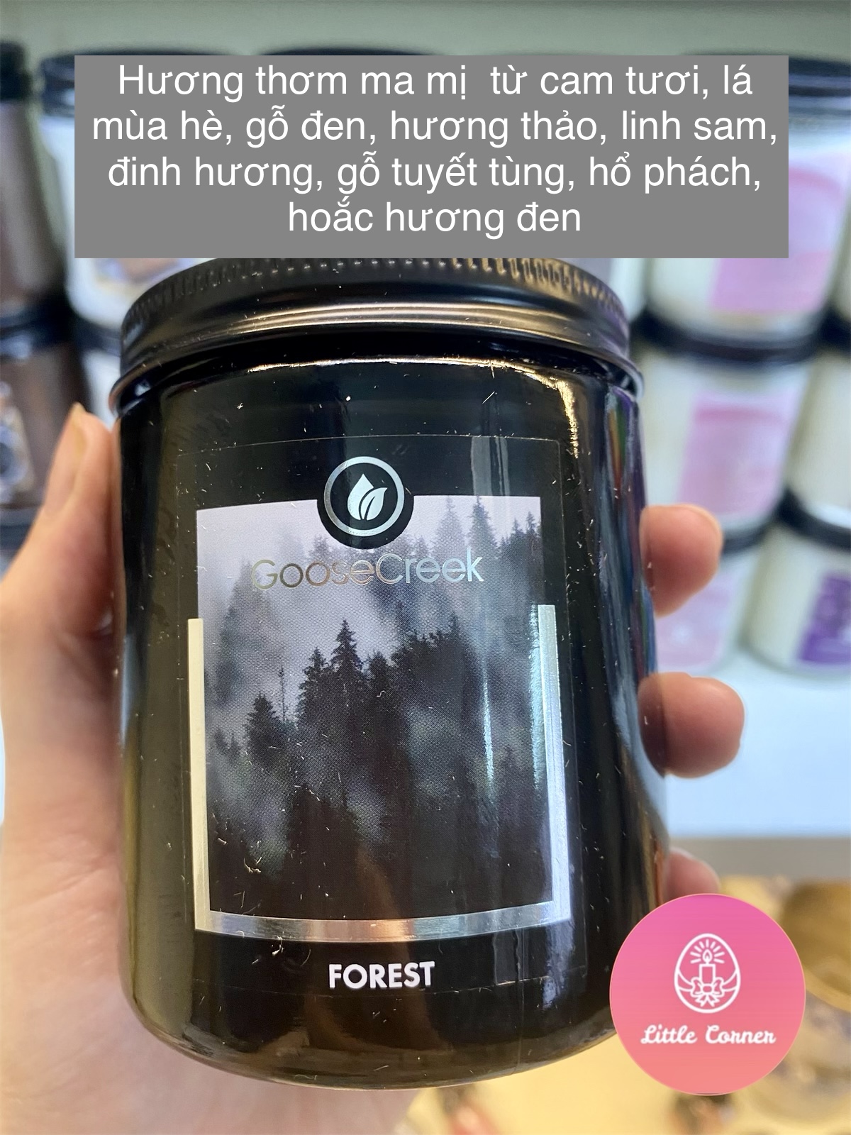 Nến thơm 1 bấc GOOSE CREEK 198g - Men Collection
