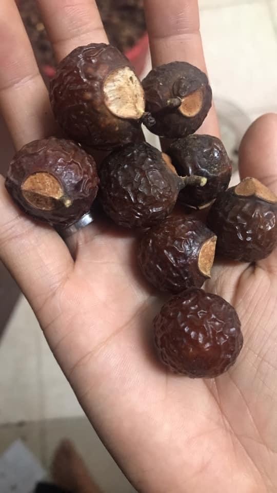 Quả bồ hòn chưa tách hạt Huna'shome 1 Kg