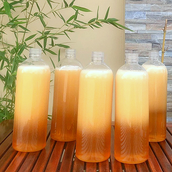 Mật Ong Rừng Tự Nhiên Nguyên Chất