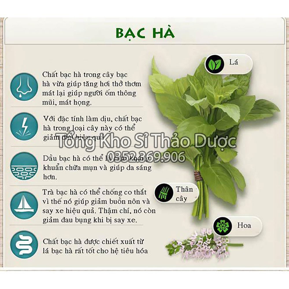 Freeze-Dried Mint Powder 500g