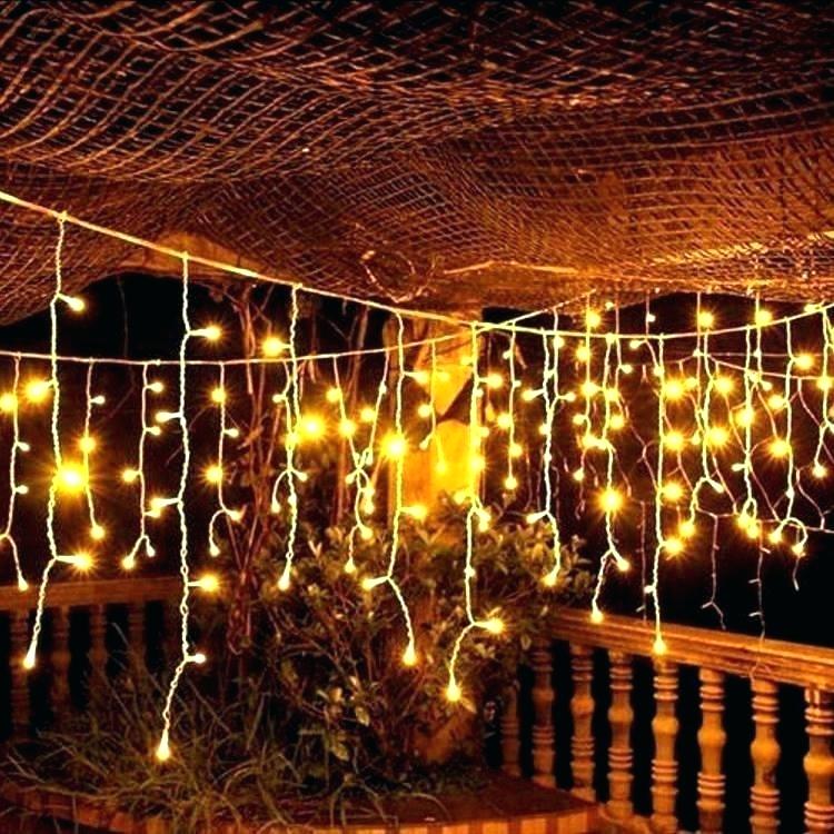 led warm white fairy lights