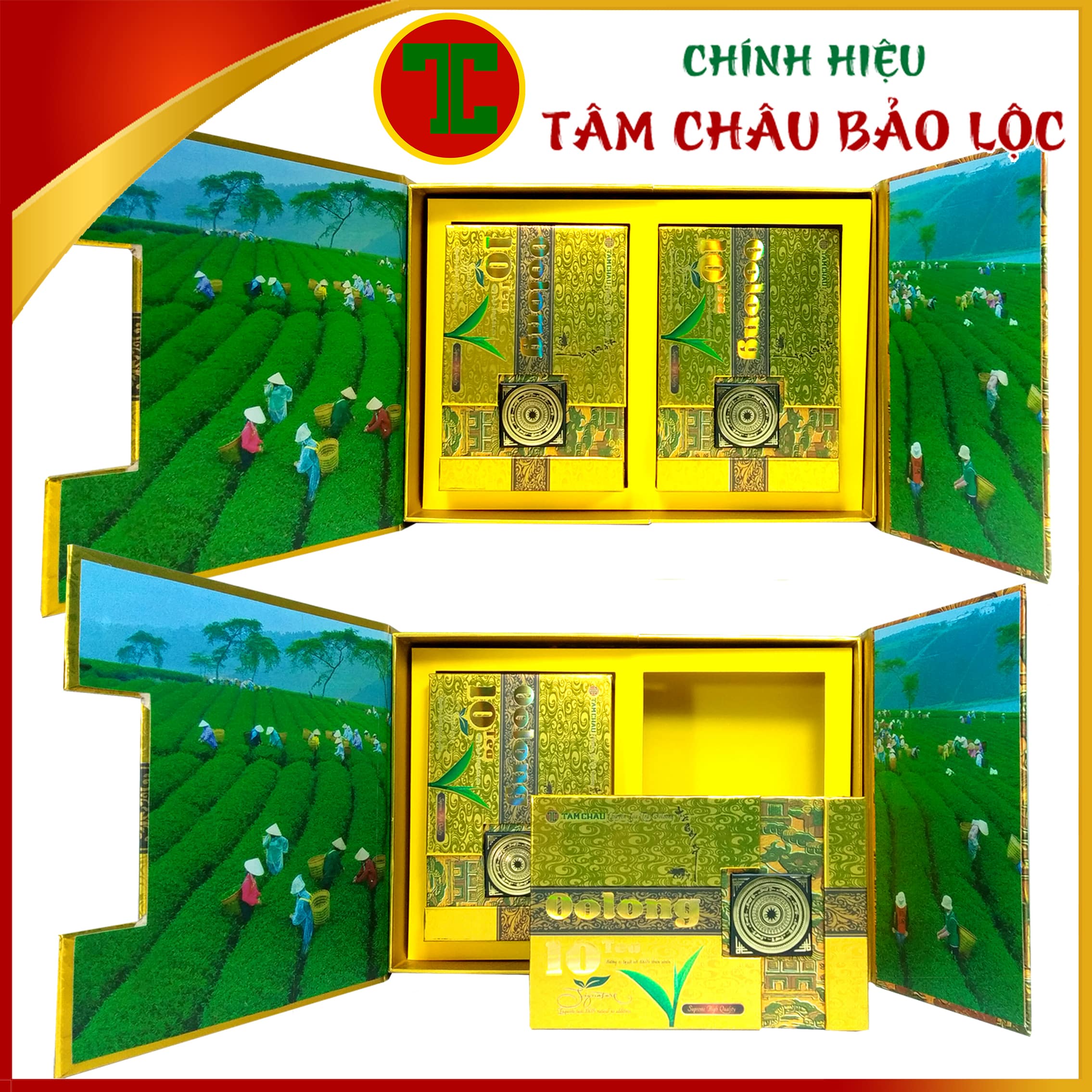 [TÂM CHÂU]  Trà Oolong 10 Tea thượng hạng 320Gr