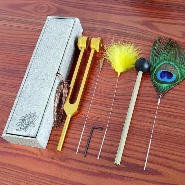Dụng cụ gội đầu dưỡng sinh, bộ dụng cụ gội đầu dưỡng sinh, chuông gió, vòm gội, bộ rung dùng trong dưỡng sinh Trung Hoa