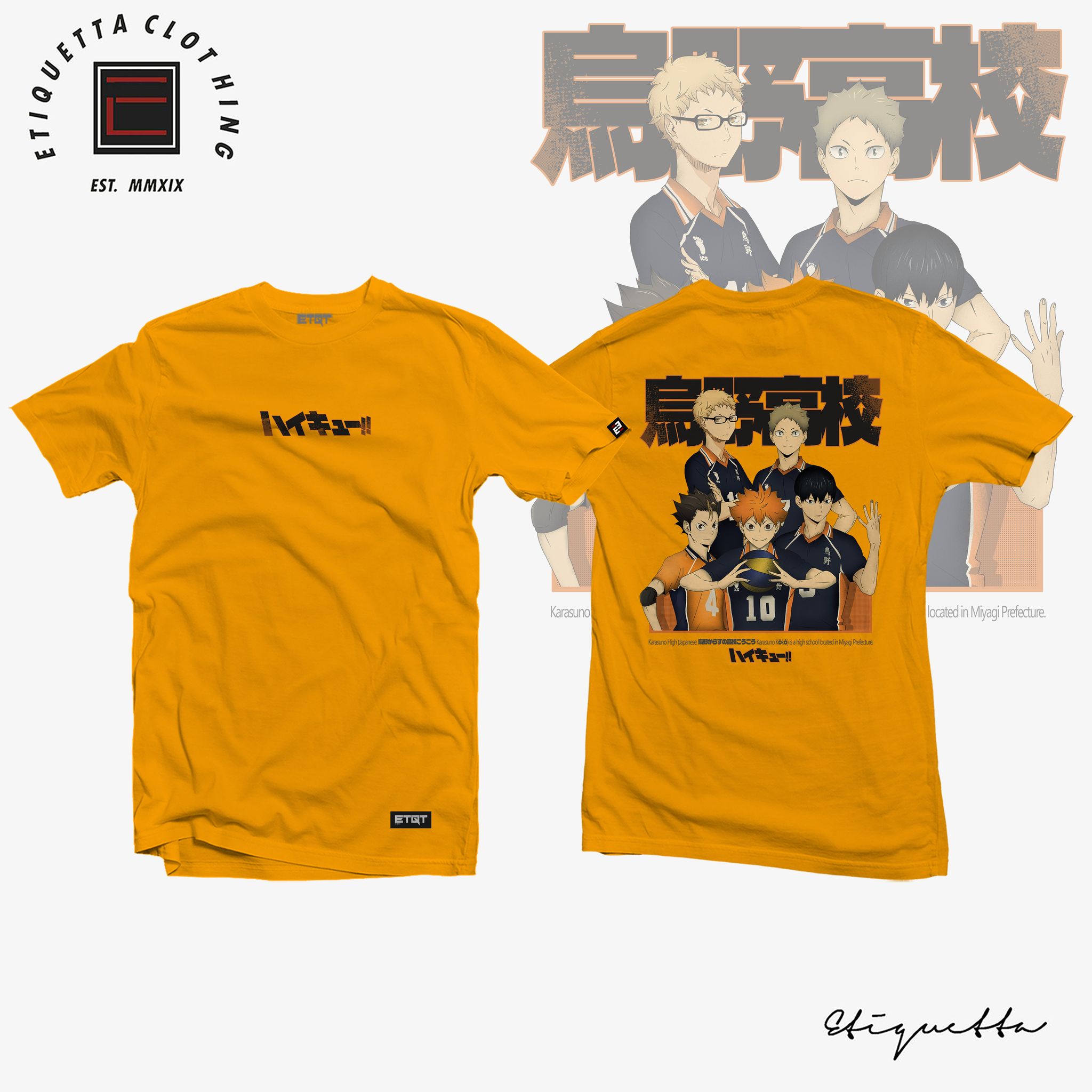 Anime Shirt - Haikyuu - Karasuno Team Members | Lazada PH