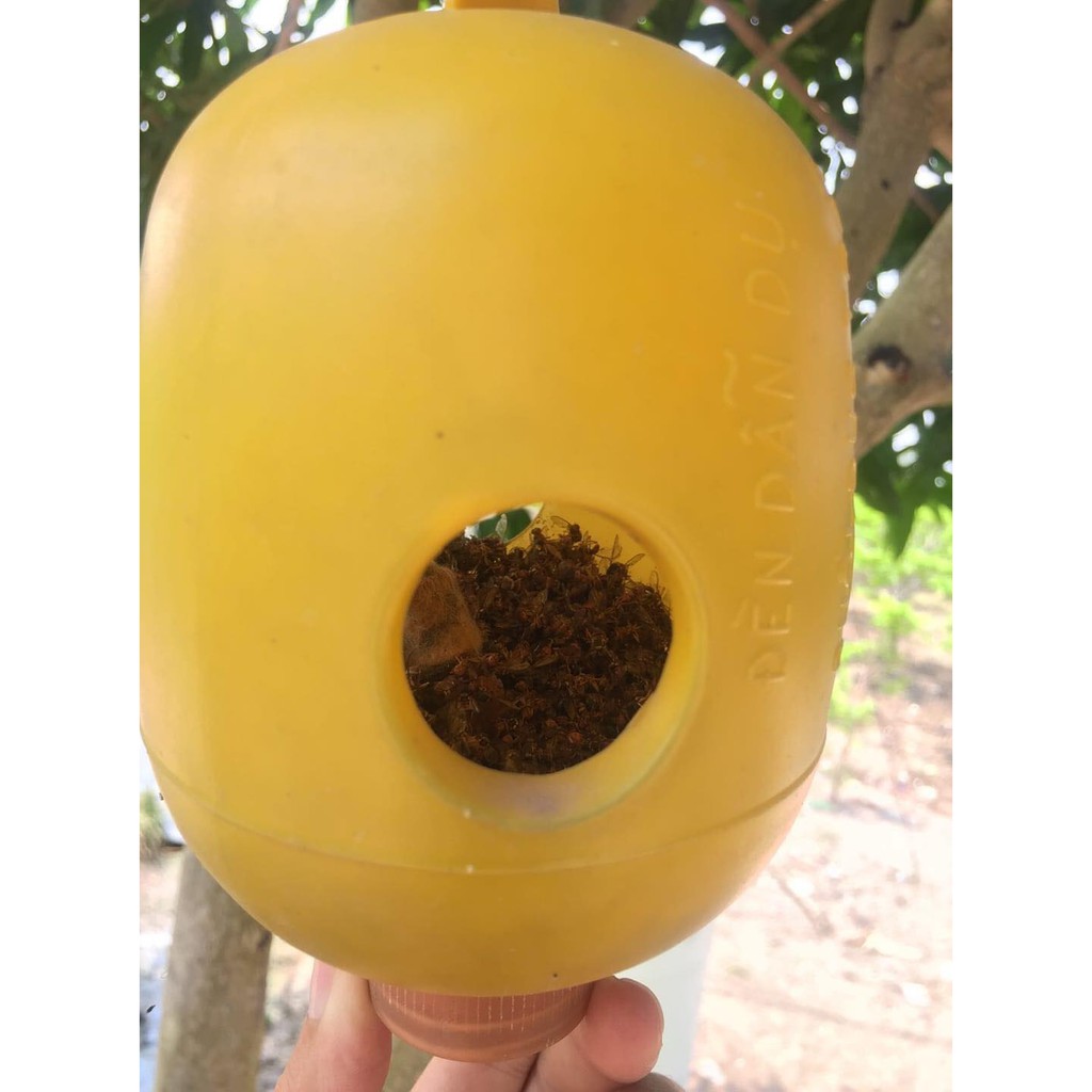 Set 2 chiếc Lồng bẫy ruồi vàng, ruồi đục trái (nhựa)