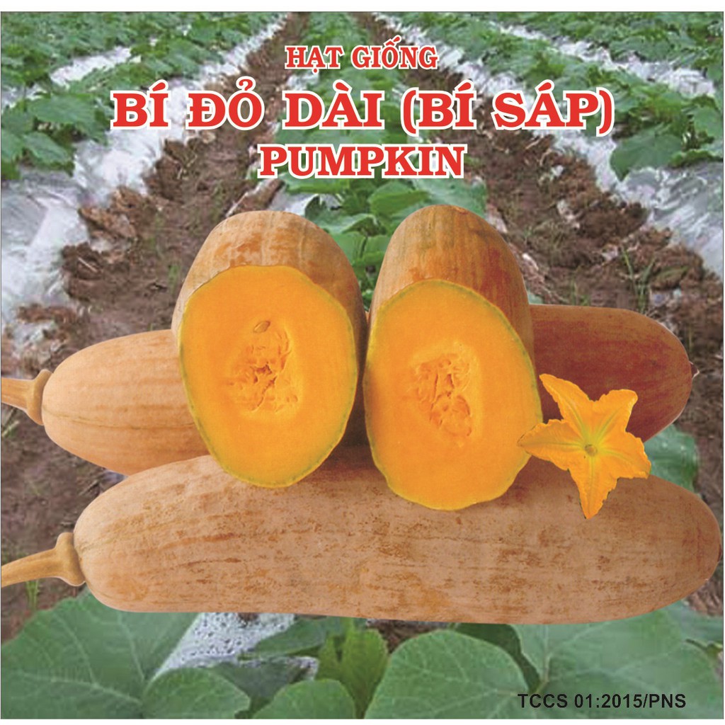 Hạt giống Bí Đỏ Dài ( Bí Sáp) Phú Nông - 10g
