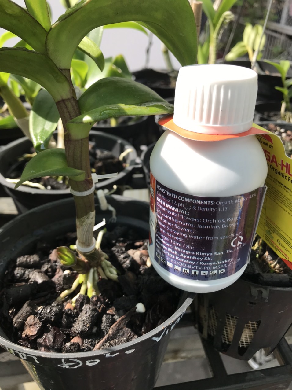 Omega Super Hume 100ml