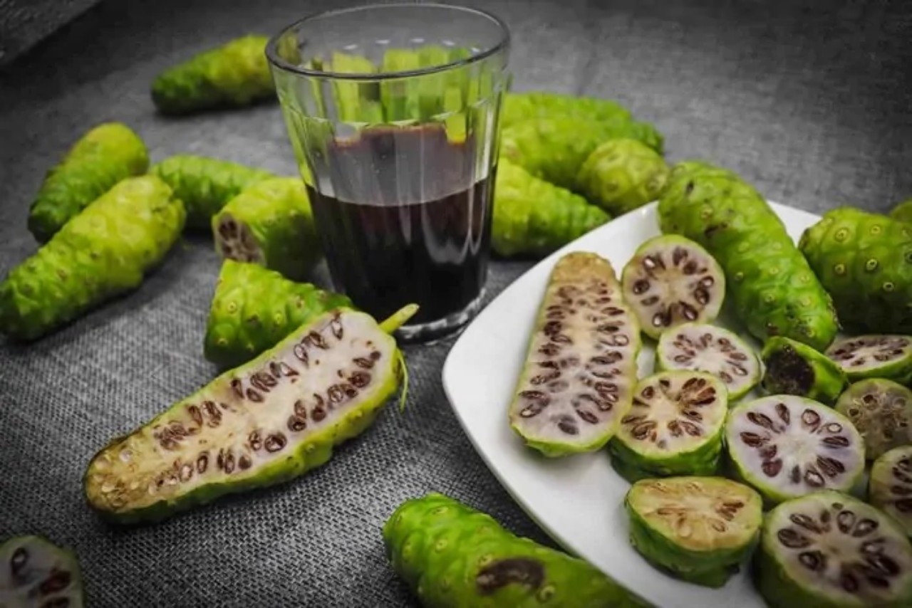 NƯỚC CỐT TRÁI NHÀU NGUYÊN CHẤT