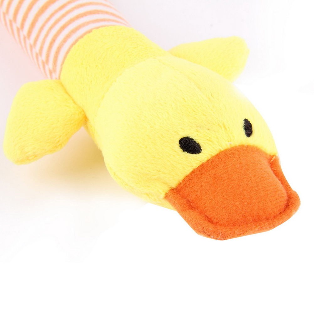 duck dog toy squeaker