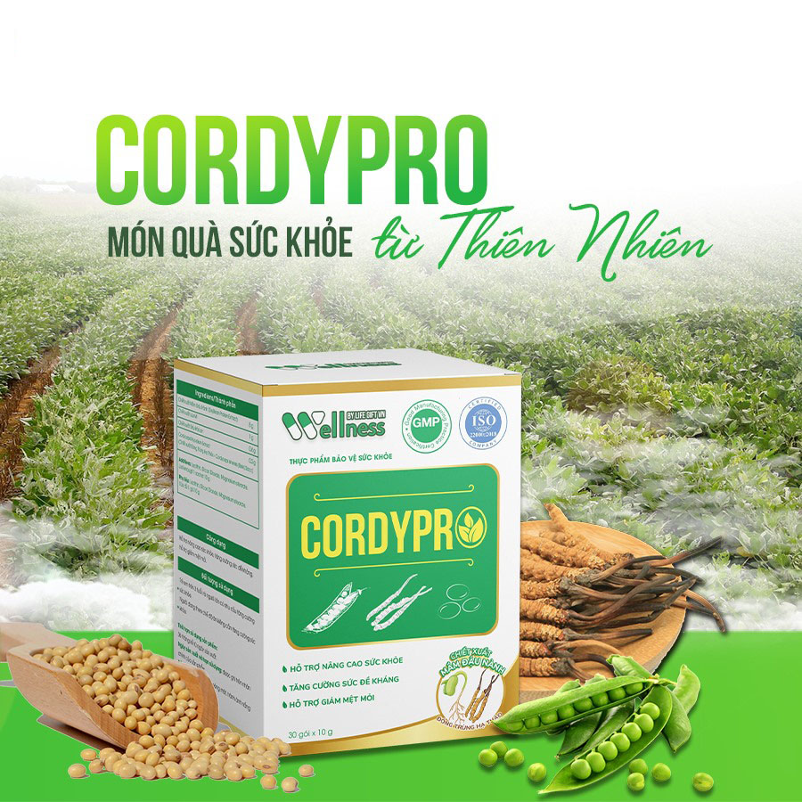 Thực phẩm protein thực vật Cordypro - Hộp 30 gói