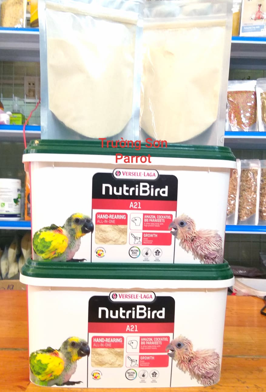 BỘT NUTRI A21 (gói lẻ 200g) đút cho chim non