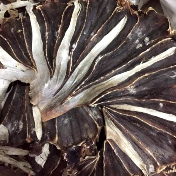500gr Khô Cá Đuối Lạc ĐEN Chuẩn Xuất Khẩu