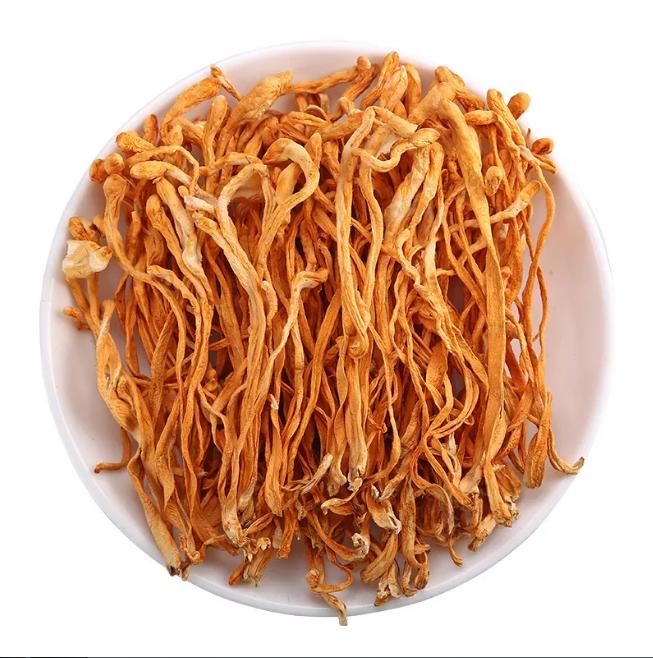 Đông Trùng Hạ Thảo Khô 100G Cao Cấp