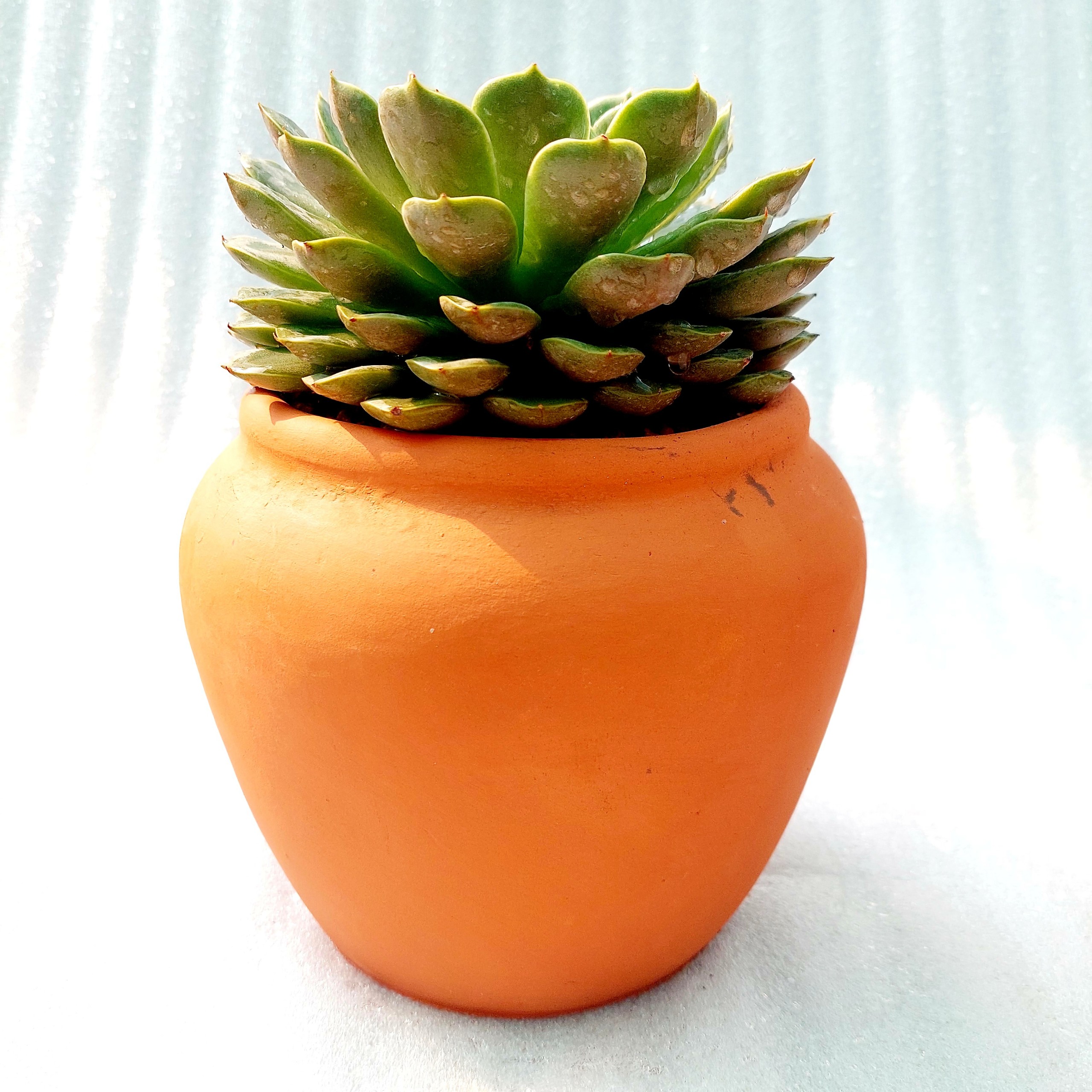 Chậu đất nung - Chum lùn, miệng chậu 14cm, chiều cao 15cm