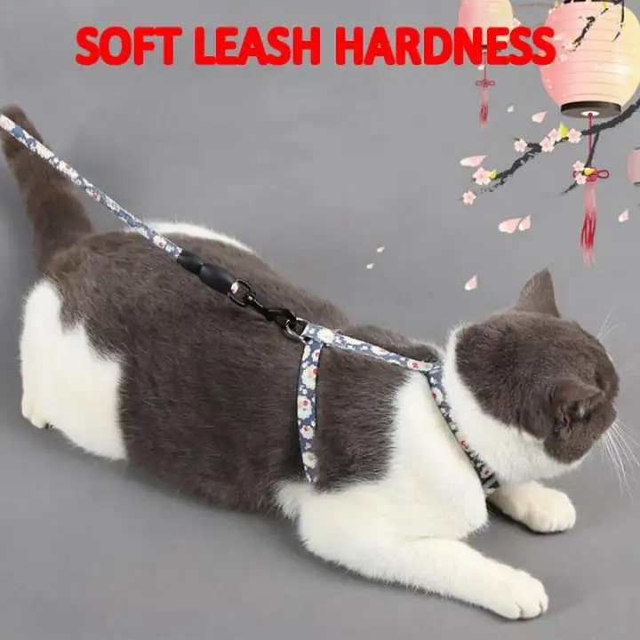 cat harness lazada