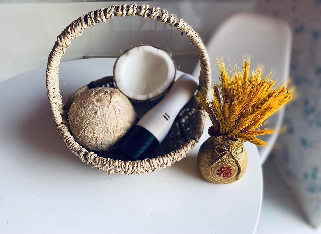 Máy nạo dừa mini