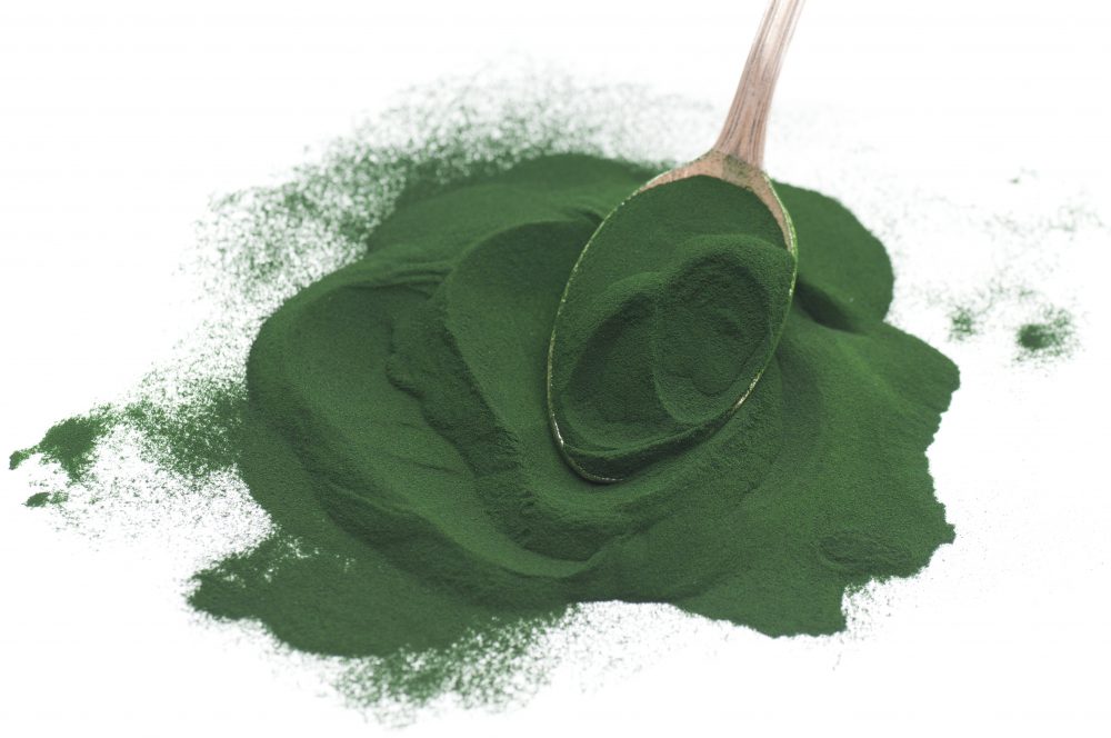 Bột Tảo Spirulina, thức ăn artemia, cá cảnh (Hủ 50g)