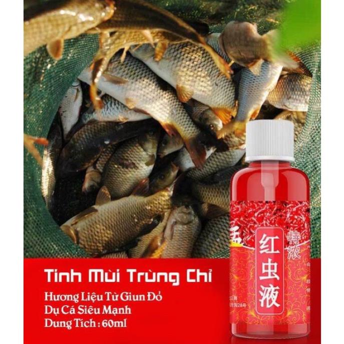 Tinh Mùi Câu Cá Trùng Chỉ Siêu Nhậy