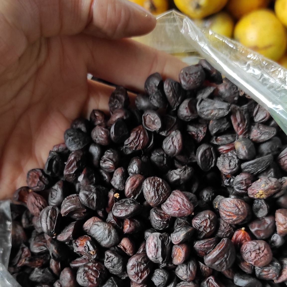hạt dổi rừng tây bắc loại 1