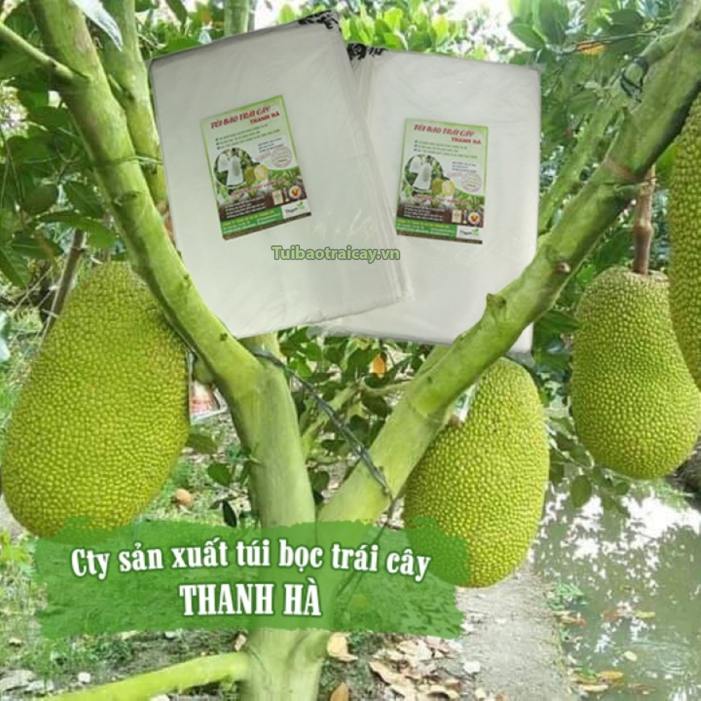Túi bọc mít thái, túi vải không dệt bọc trái cây Thanh Hà bền đẹp 50x70cm- 50 cái