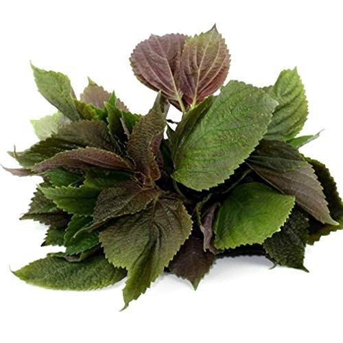 [Hàng mới về] Bột tía tô nguyên chất 200g - Thảo Dược Tấn Phát - Hàng công ty chất lượng cao - Chuyên dùng để pha trà và làm đẹp