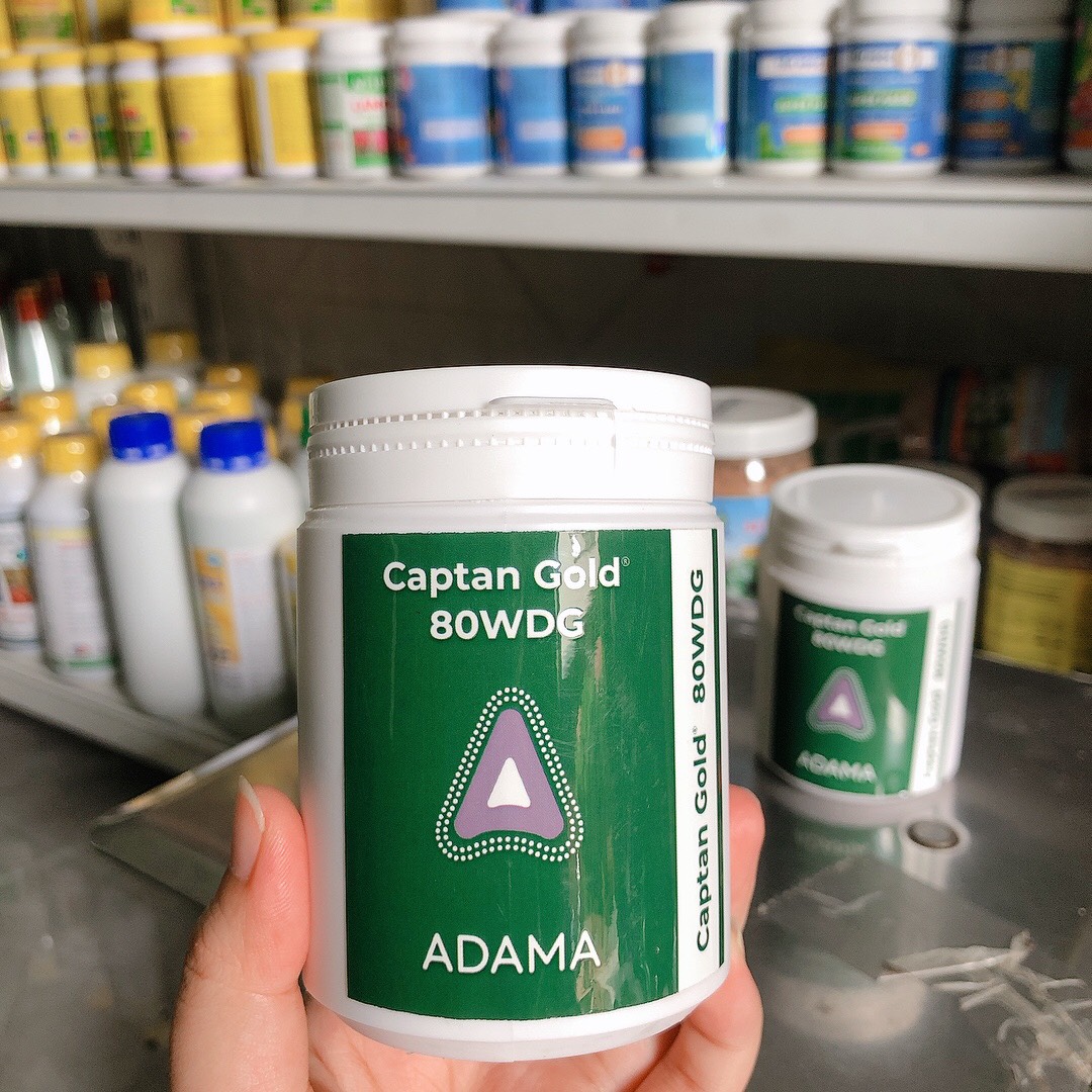 Trừ Nấm, Thối Nhũn - captangold MỸ- 100g