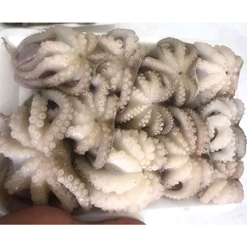 Bạch tuộc sữa baby 400g (giao tphcm)