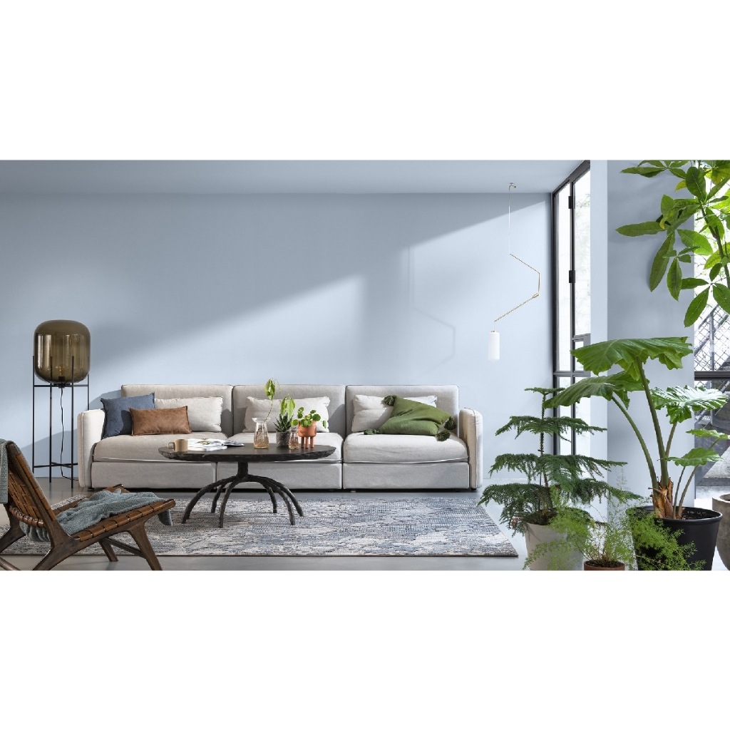 High Quality Indoor Maxilite Paint